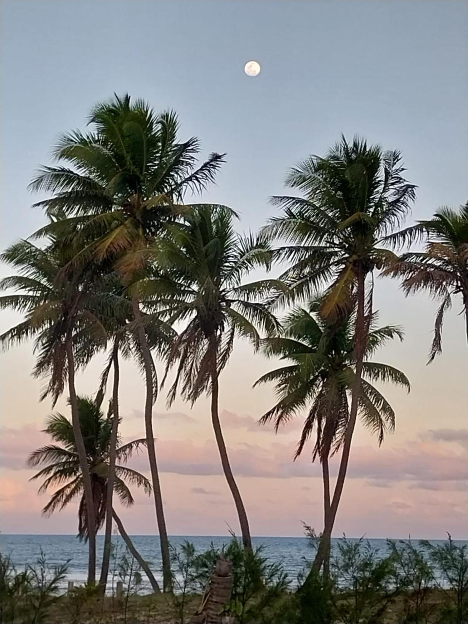 Beach House - Secured, Beach Access, Sea View, Best Location باكسيو المظهر الخارجي الصورة